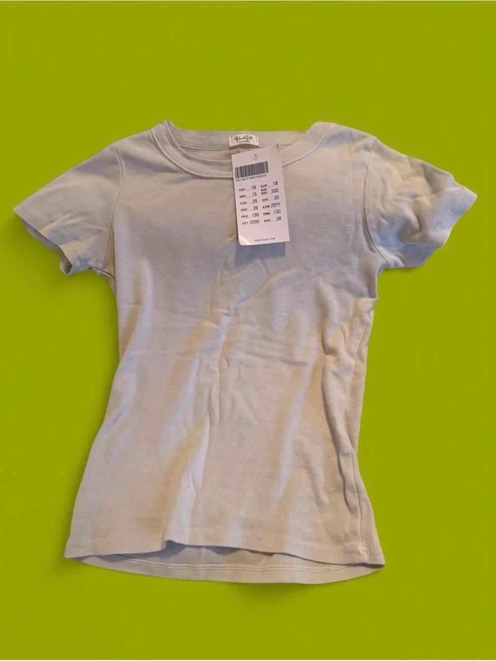 NWT Brandy Melville Light grey ish Short Sleeve Tee